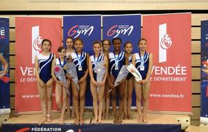593d6223546b4_challengestu2017.jpg