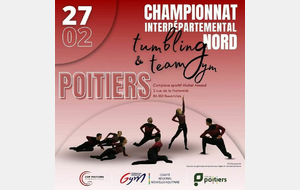 62110d088a86e_affichetumpoitiers.jpg