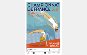 Championnat de France individuel national et élite tumblin Vannesg